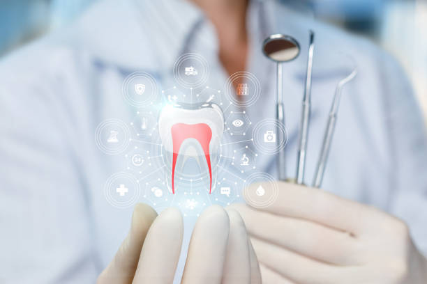 Best Full Mouth Reconstruction  in Charlotte Park, FL