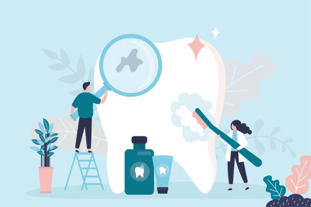 Best Dental X-Rays and Imaging  in Charlotte Park, FL